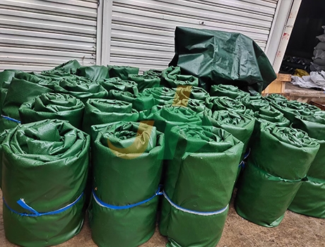 草莓视频污软件