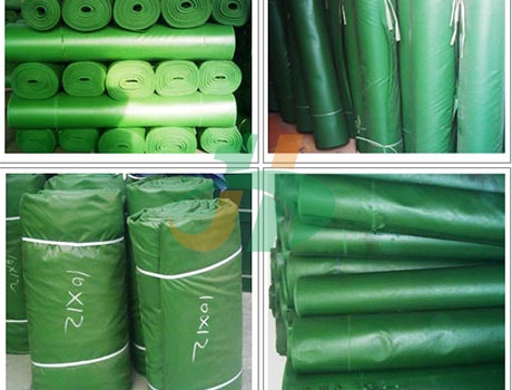 草莓视频污软件